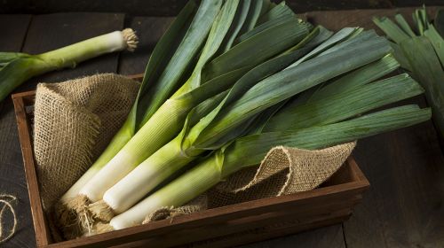 Neat Ways With Leeks
