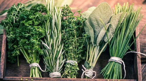 Herbs: Fully Loaded