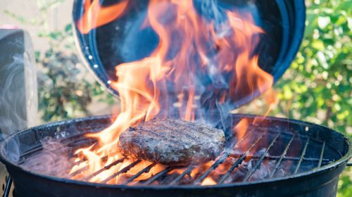 BBQ Looking Risky? OptiGrill To The Rescue!