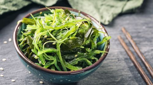 Underwater Inspiration: Seaweed And Sea Plants